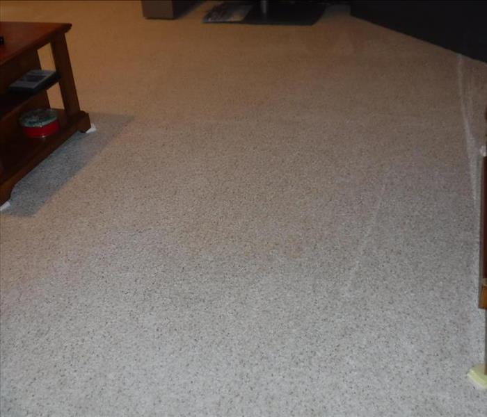 carpet after stain-removing