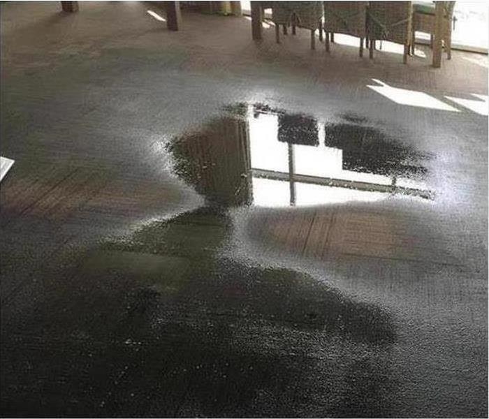 standing water on carpet
