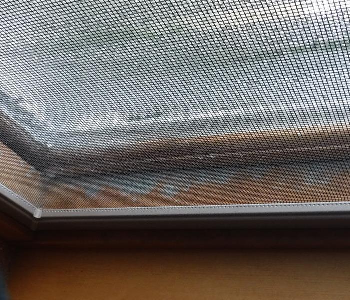 mold in windowsill