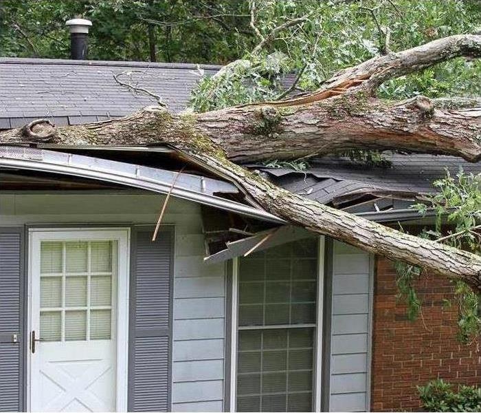storm damage from tree falling on home